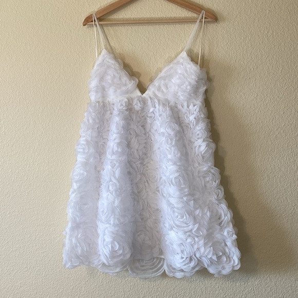 Anthropologie Dresses & Skirts - ANTHROPOLOGY BHLDN V-NECK TULLE ROSETTE MINI DRESS